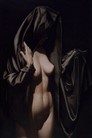 Desnudos Artisticos - 23
